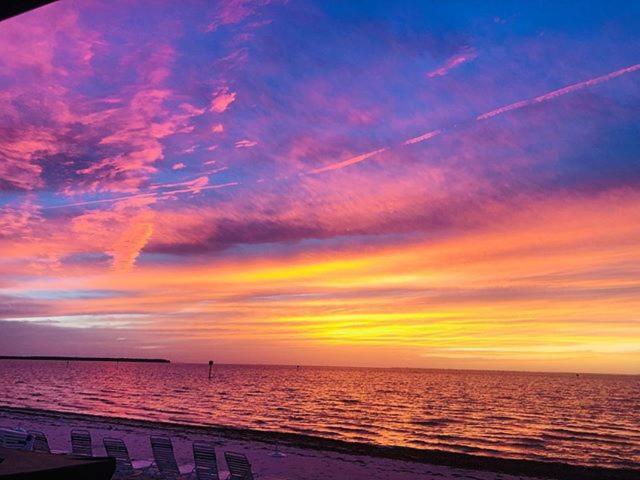 Sunsetview Studio116 Beach Steps Away Pool Wifi 러스킨 외부 사진